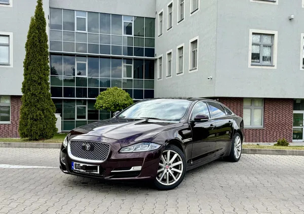 dolnośląskie Jaguar XJ cena 109000 przebieg: 205000, rok produkcji 2016 z Wałbrzych